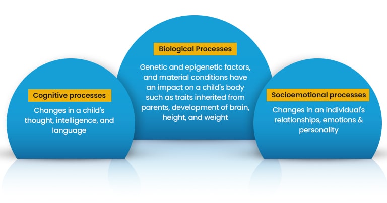 Biological cognitive 2024 and socioemotional processes